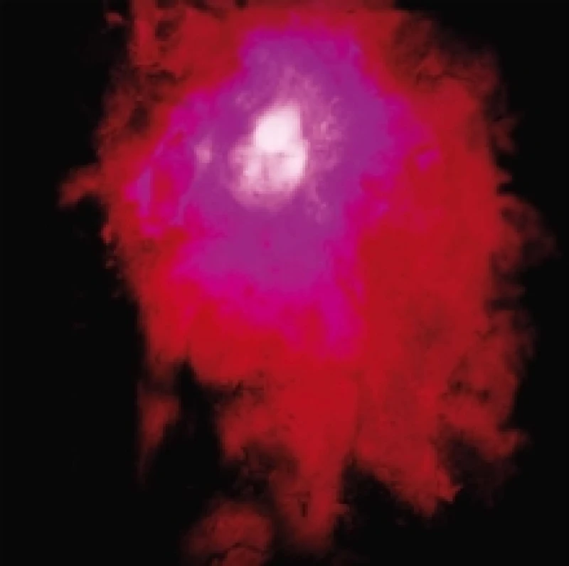 Image of Up the Downstair CD / Album Digipak