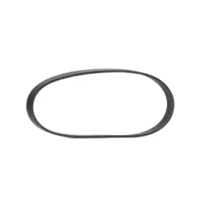 CONTITECH V-ribbed belt VW,AUDI,SKODA 6PK737 036145933AG,04E145933C,04E145933G 030903137AA,030903137K,036145933AG,04E145933C,04E145933G,036145933AG