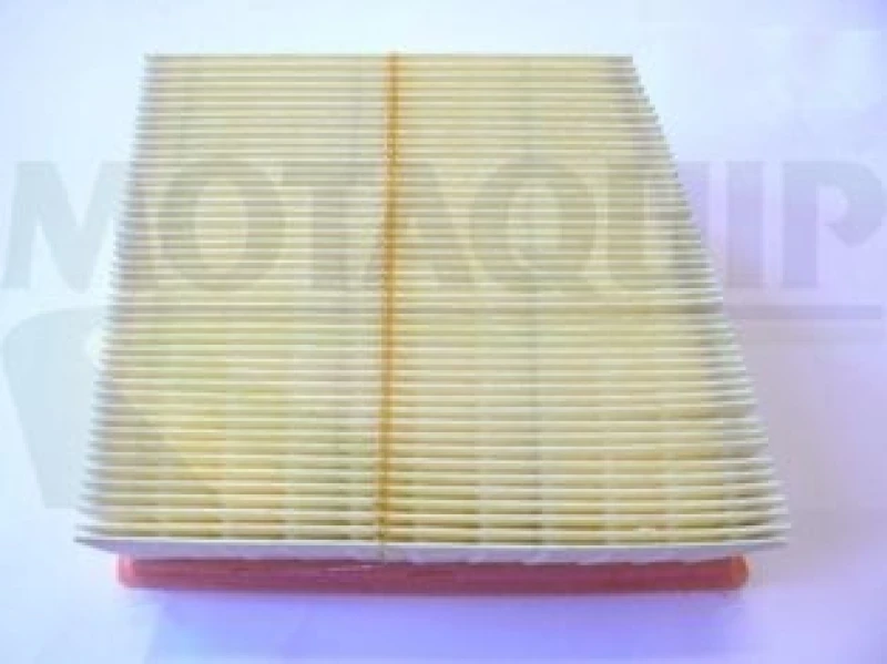 Image of MOTAQUIP Air filter MOTAQUIP LVFA1409