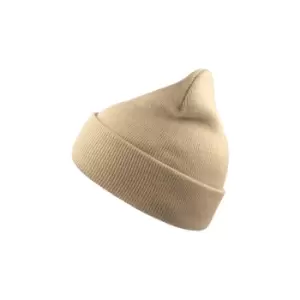 Image of Atlantis Wind Double Skin Beanie With Turn Up (One Size) (Beige)