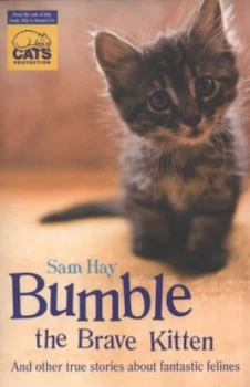 Image of Bumble the Brave Kitten by Samantha Hay Paperback