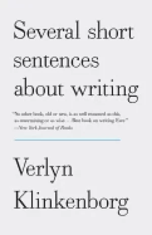 Image of several short sentences about writing