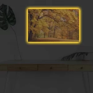 Image of 4570DHDACT-092 Multicolor Decorative LED Lighted Canvas Painting