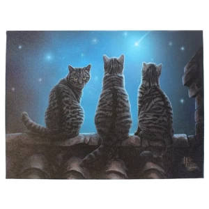 Image of Small Wish Upon A Star Canvas Picture by Lisa Parker