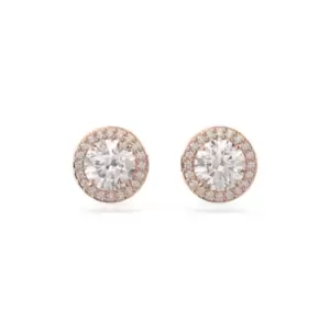 Image of Constella Stud Round Cut Pav White Rose Gold-tone Plated Earrings 5636275