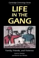 Image of life in the gang family friends and violence
