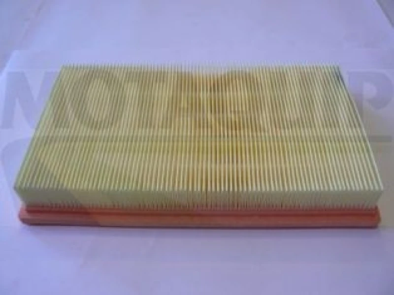 Image of MOTAQUIP Air filter MOTAQUIP VFA1240