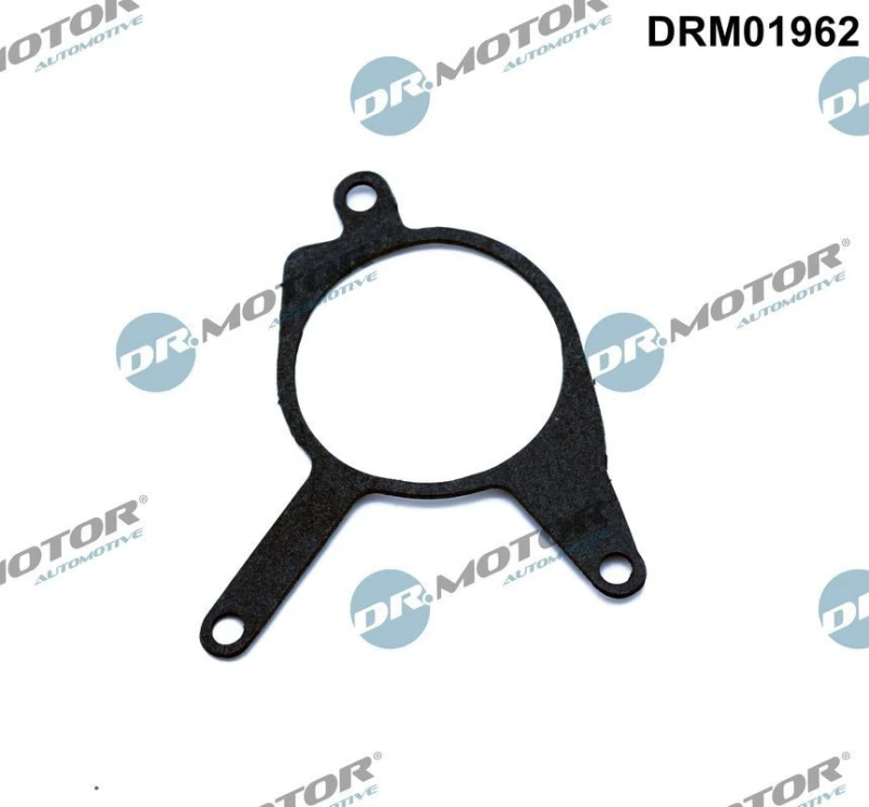 Image of DR.MOTOR AUTOMOTIVE Gasket, vacuum pump DR.MOTOR AUTOMOTIVE DRM01962