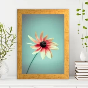Image of AC346430353 Multicolor Decorative Framed MDF Painting