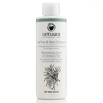 image of Odylique by Essential Care Tea Tree & Herb Shampoo