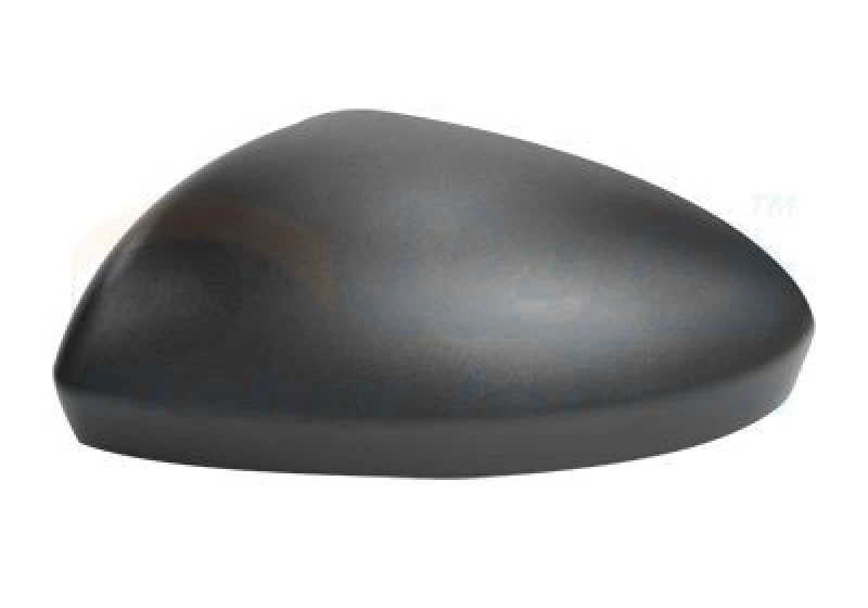 Image of VAN WEZEL Wing mirror cover VAN WEZEL 4407841
