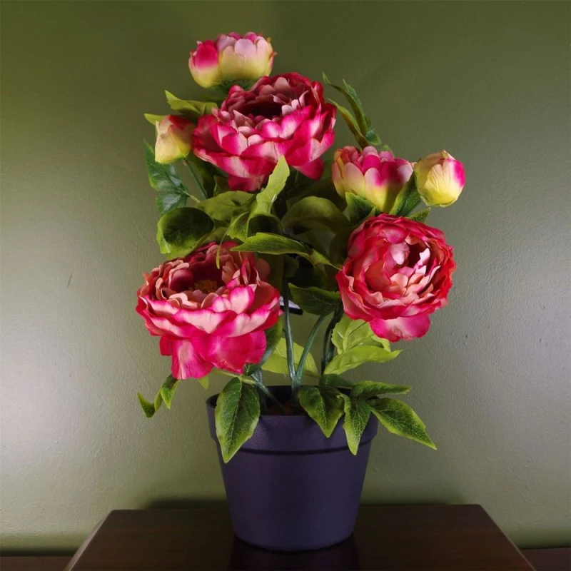 Image of Leaf Artificial Peony Plant Flowers Flowering Plant Pink Botanik Dark Pink