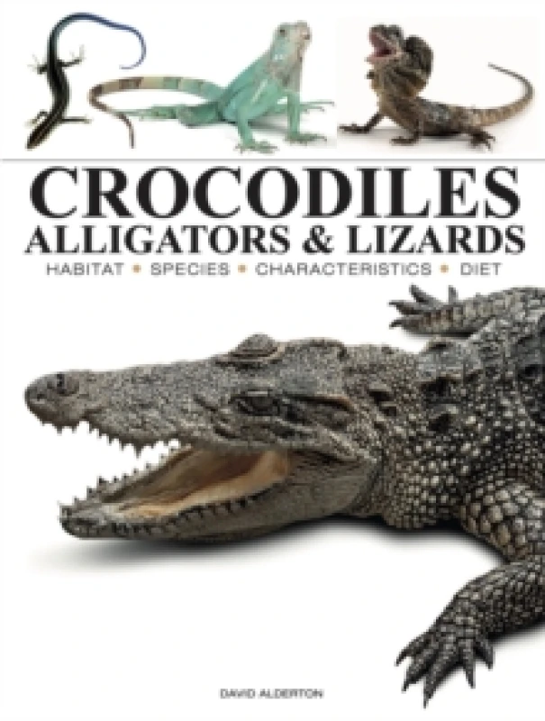 Image of Crocodiles, Alligators & Lizards Paperback / softback