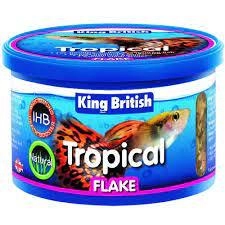 Image of King British Tropical Fish Food 28g