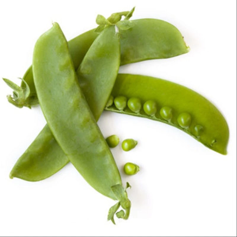 Image of Thompson & Morgan Horizon Mangetout Pea Seeds - Hardy Mildew Resistant High Yield - Approx 120 Seeds