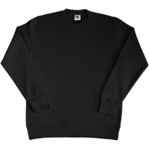 image of SG Ladies/Womens Crew Neck Long Sleeve Sweatshirt (M) (Black)