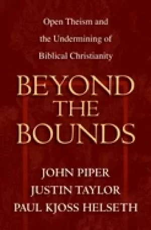 Image of beyond the bounds open theism and the undermining of biblical christianity