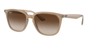 Ray-Ban Sunglasses RB4362 616613