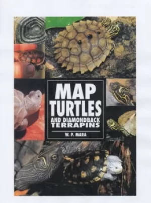 Image of Map turtles and diamondback terrapins by W. P Mara