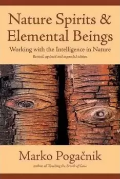 Image of Nature Spirits & Elemental Beings by Marko Pogacnik