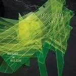 Image of Nels Cline - Accidental Sky (Music CD)
