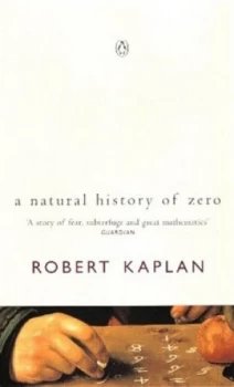 Image of The Nothing That Is by Robert S Kaplan and Ellen Kaplan Paperback