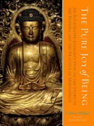 Image of pure joy of being an illustrated introduction to the story of the buddha an