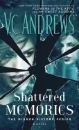 Image of shattered memories