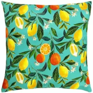 Image of Evans Lichfield Orange Blossom Square Outdoor Cushion Cover (One Size) (Multicoloured)