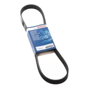 Image of Bosch V-ribbed belt VW,AUDI,FIAT 1 987 946 024 03G903137A,139449,500346828 504171190,31110P5K003,31110P5K004,31110PDAE01,1192041B00,119204F105,128048