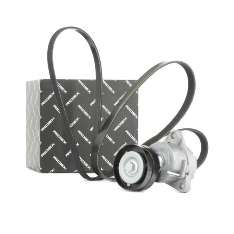 Image of RIDEX 542R0319 V-ribbed belt set V-Ribbed Belt Set (542)