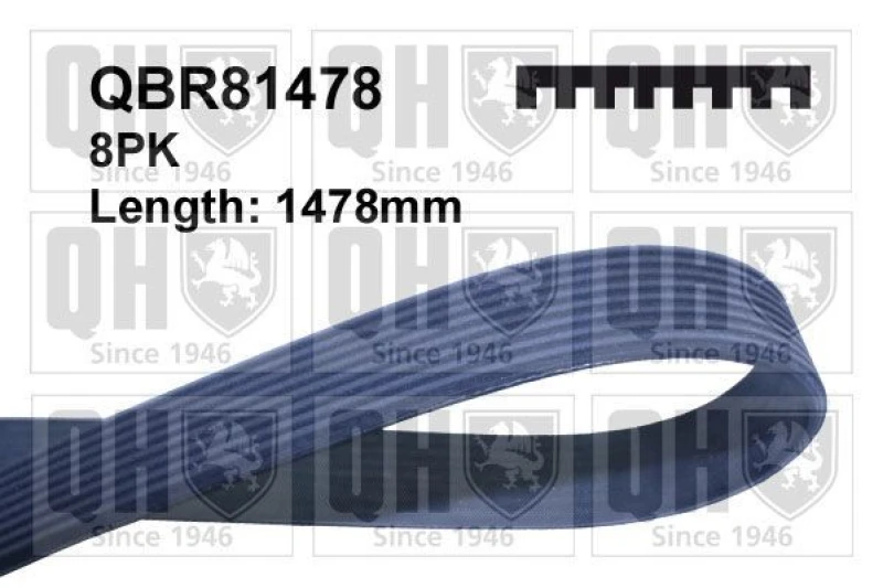 Image of QUINTON HAZELL Serpentine belt QUINTON HAZELL QBR81478