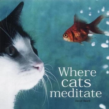 Image of Where Cats Meditate Hardback