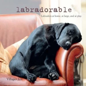 Image of Labradorable by Villager Jim Hardback