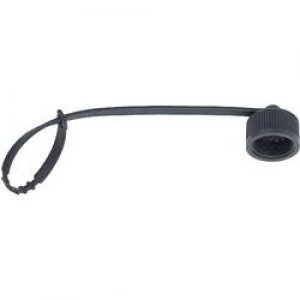 Image of Binder 08 1077 000 000 Protective Cap