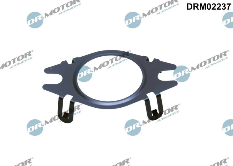 Image of DR.MOTOR AUTOMOTIVE Gasket, EGR valve pipe DR.MOTOR AUTOMOTIVE DRM02237