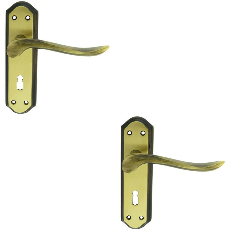 Image of Loops 2x PAIR Curved Handle on Sculpted Lock Backplate 180 x 48mm Florentine Bronze Multi