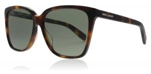 image of Yves Saint Laurent SL 175 Sunglasses Havana 002 56mm