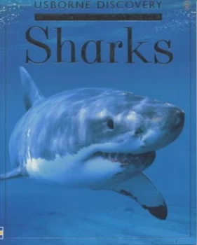 Image of Sharks by Jonathan Sheikh-Miller and Gillian Doherty and Theresa Greenaway and Frances Dipper and John Woodcock Paperback