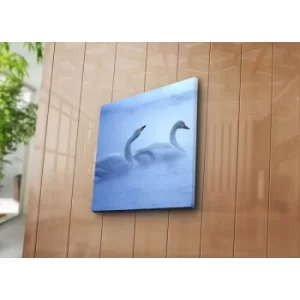 Image of 4545NAT-41 Multicolor Decorative Canvas Painting