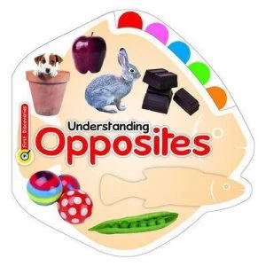 Image of Understanding Opposites Hardback