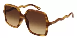 Image of Chloe Sunglasses CH0086S 002