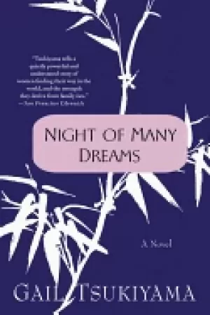 Image of night of many dreams a novel