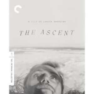 Image of The Ascent