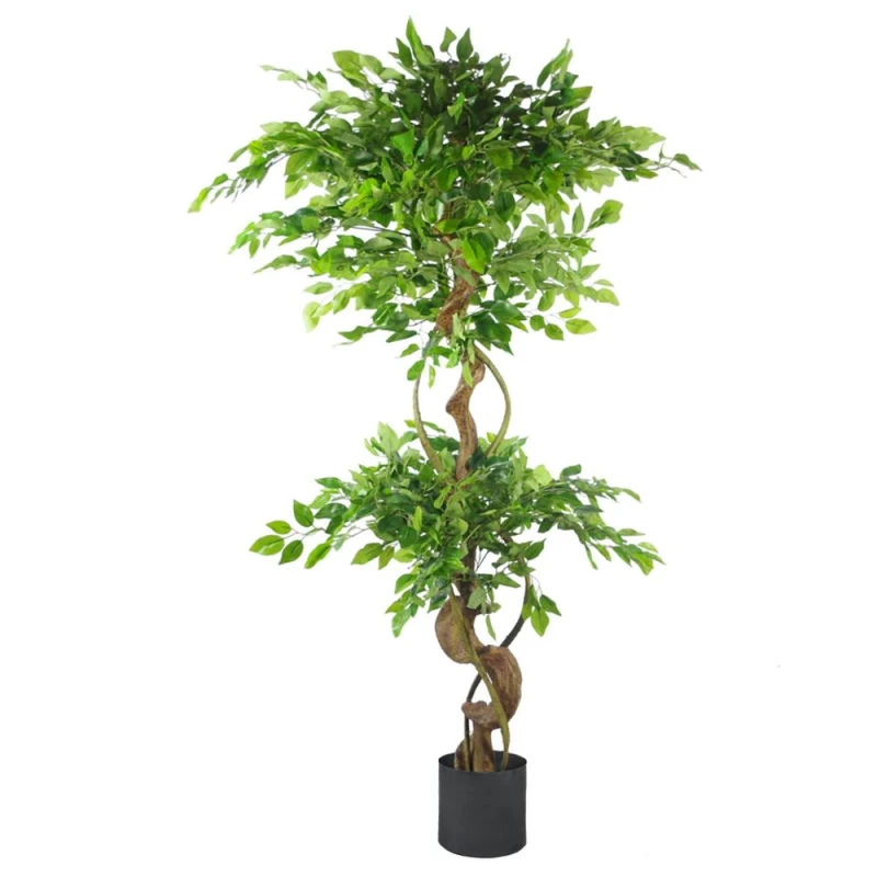 Image of Unbranded 150cm Twisted Trunk Artificial Ficus Tree with Black Planter - Sophisticated Elegance for Any Space