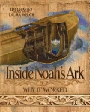 Image of inside noahs ark why it worked