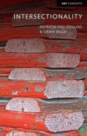 Image of Intersectionality by Patricia Hill Collins