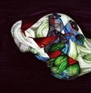 Image of Stridulations by Pali Meursault Vinyl Album
