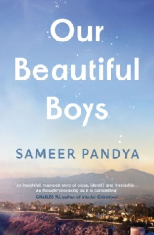 Image of Our Beautiful Boys Hardback