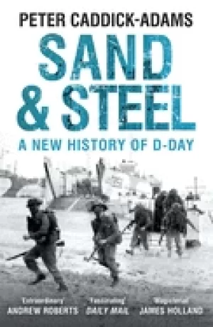 Image of sand and steel a new history of d day